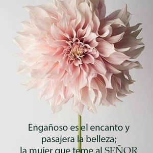 Meet your Posher, Antonia